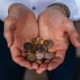Structuring Personal Cash Reserves in a Sustained Rate Environment