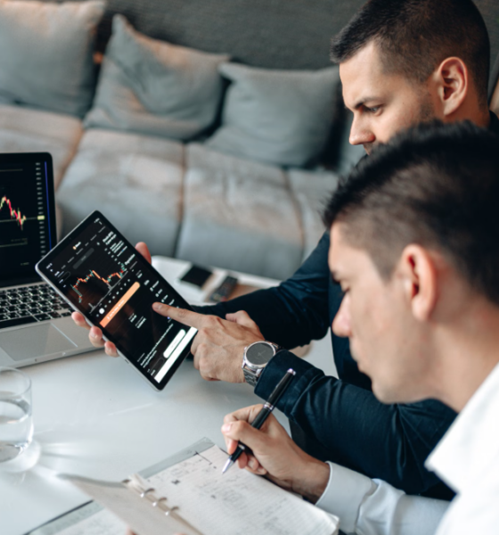 adaptive governance in volatile markets