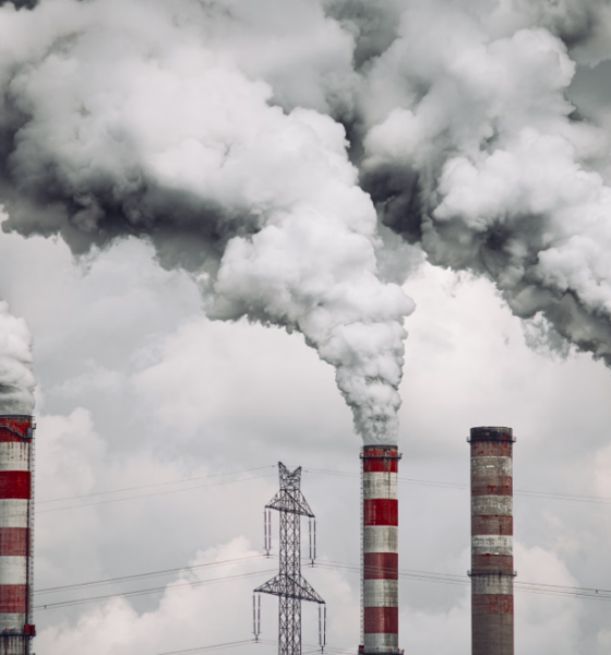FASB Standardizes Carbon Offsets Accounting Rules