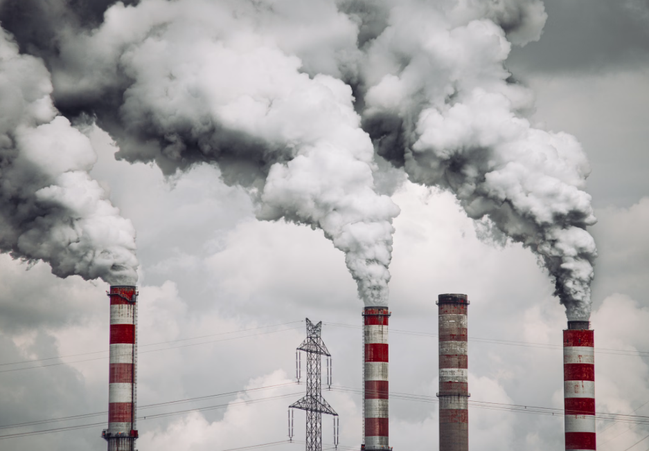 FASB Standardizes Carbon Offsets Accounting Rules