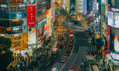 Productivity Gains, Demographics, and the Future of Labor Markets